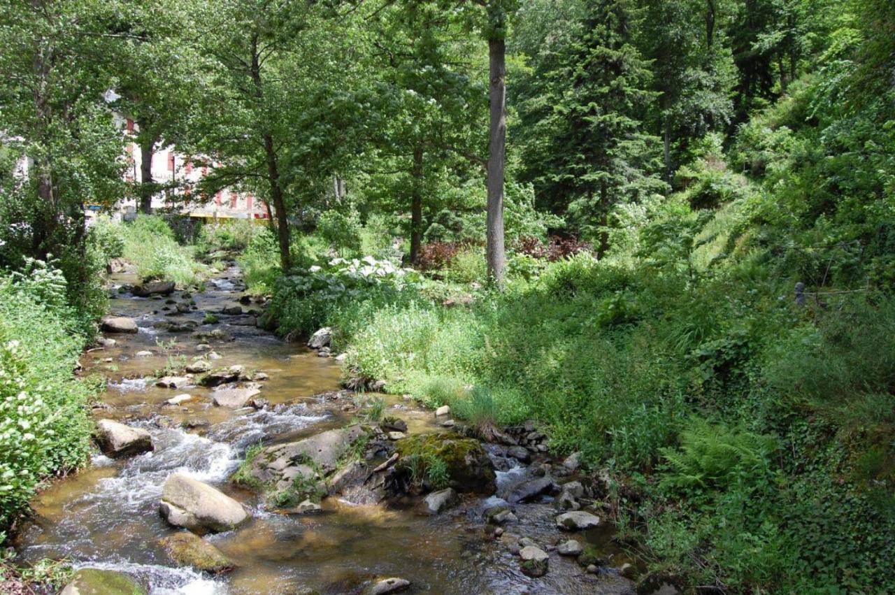 Notre-Dame D'Escouloubre Sources D'Eaux Chaudes Privees Et Sauna Kültér fotó